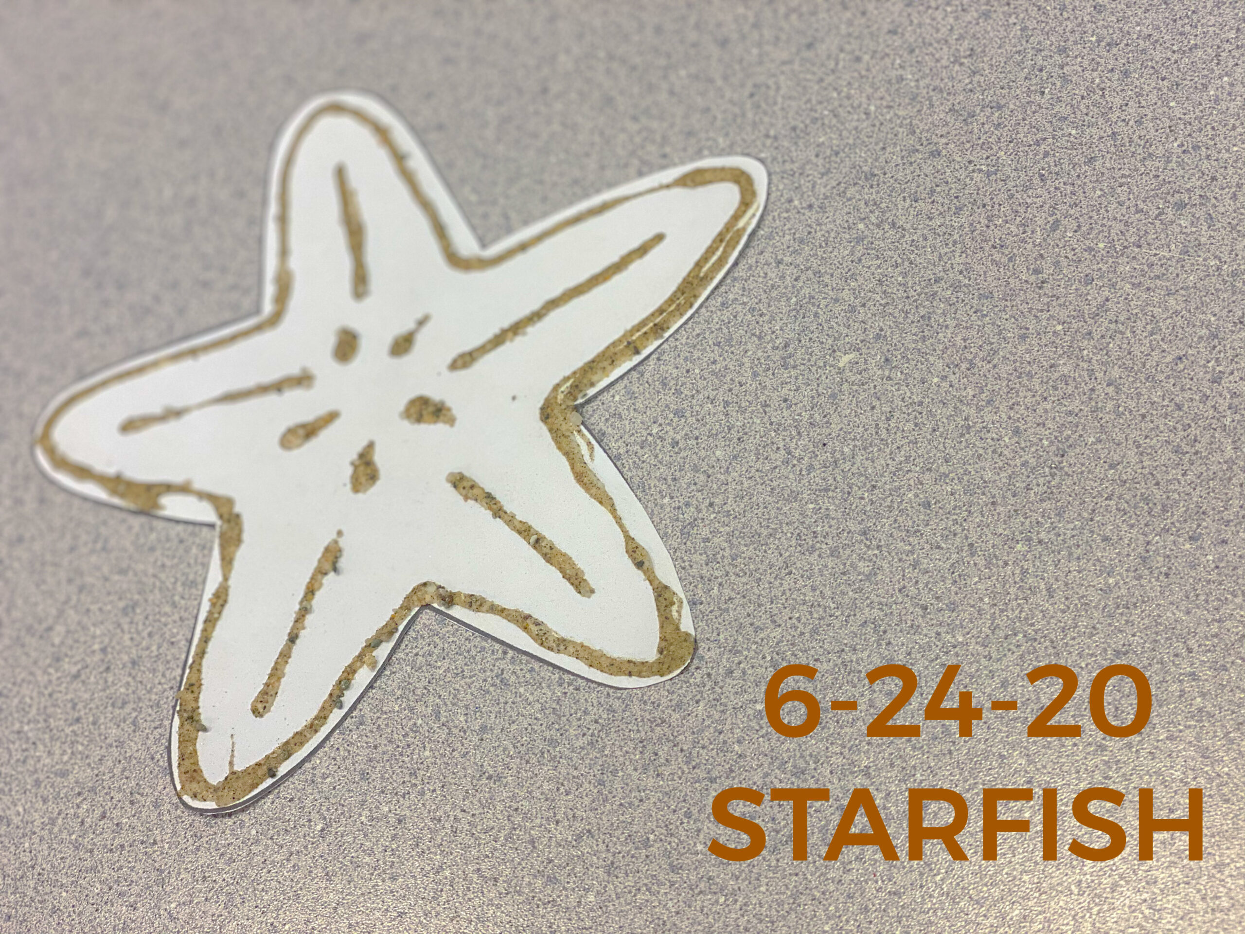 Read more about the article 6-24-20 Starfish