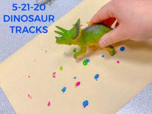 Read more about the article 5-21-20 Dinosaur Tracks