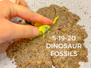 Read more about the article 5-19-20 Dinosaur Fossils Activity