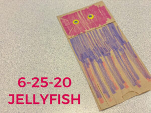 Read more about the article 6-25-20 Jellyfish