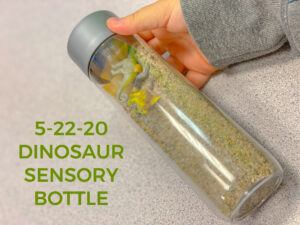 Read more about the article 5-22-20 Dinosaur Sensory Bottle