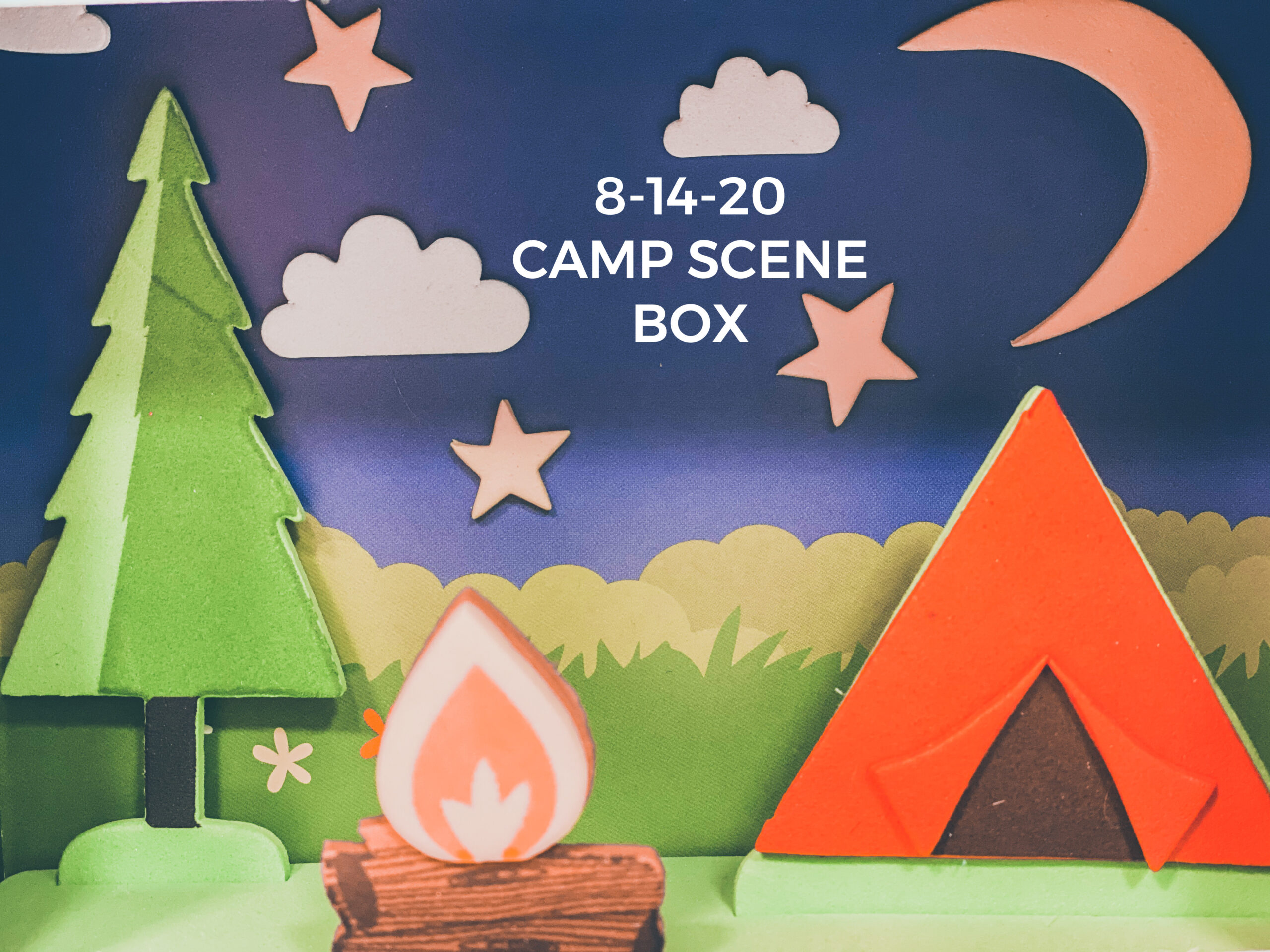 Read more about the article 8-14-20 Camp Scene Box