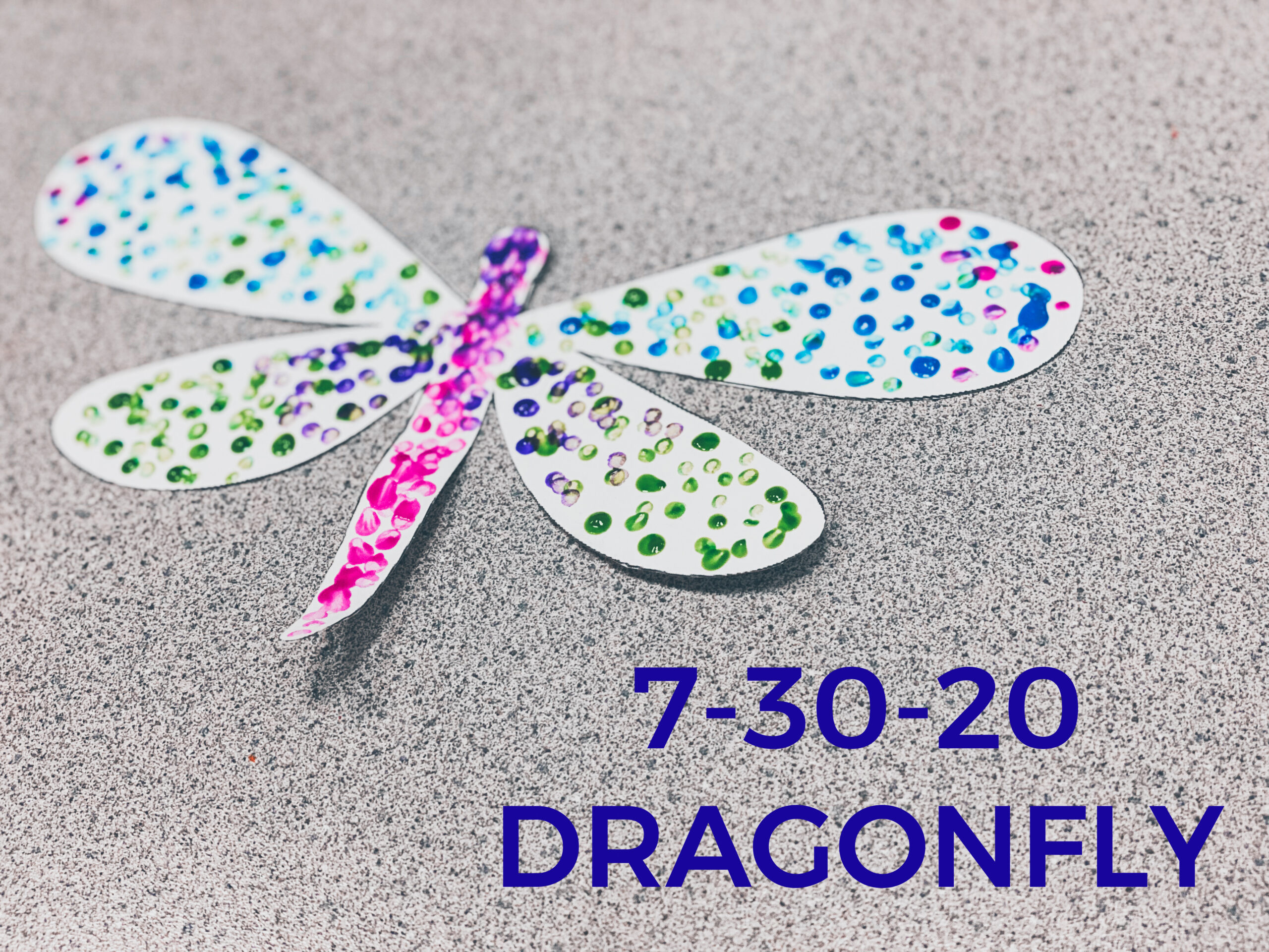 Read more about the article 7-30-20 Dragonfly