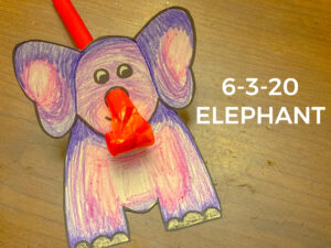 Read more about the article 6-3-20 Elephant