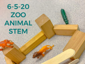 Read more about the article 6-5-20 Zoo Animal STEM