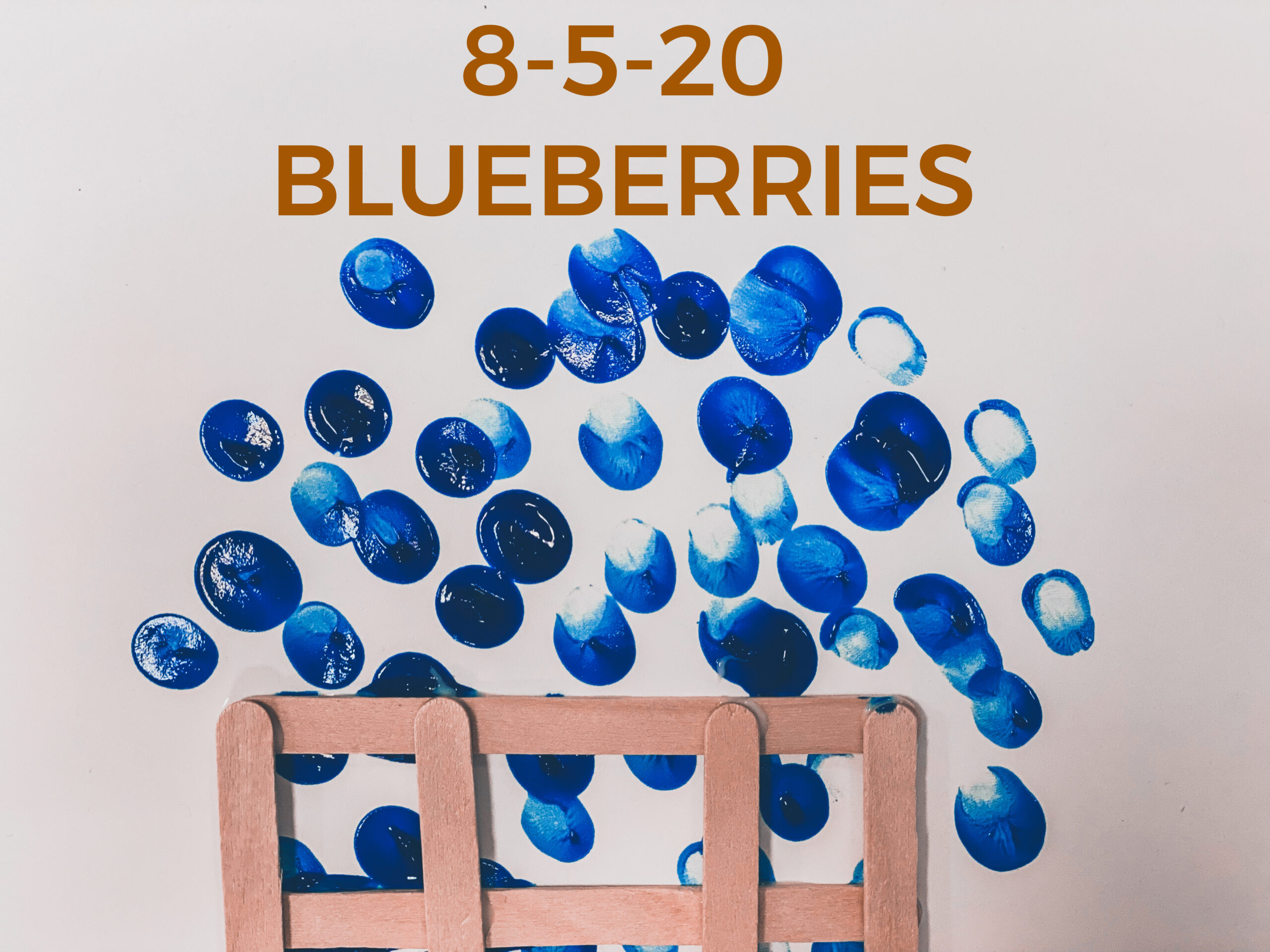 Read more about the article 8-5-20 Blueberries