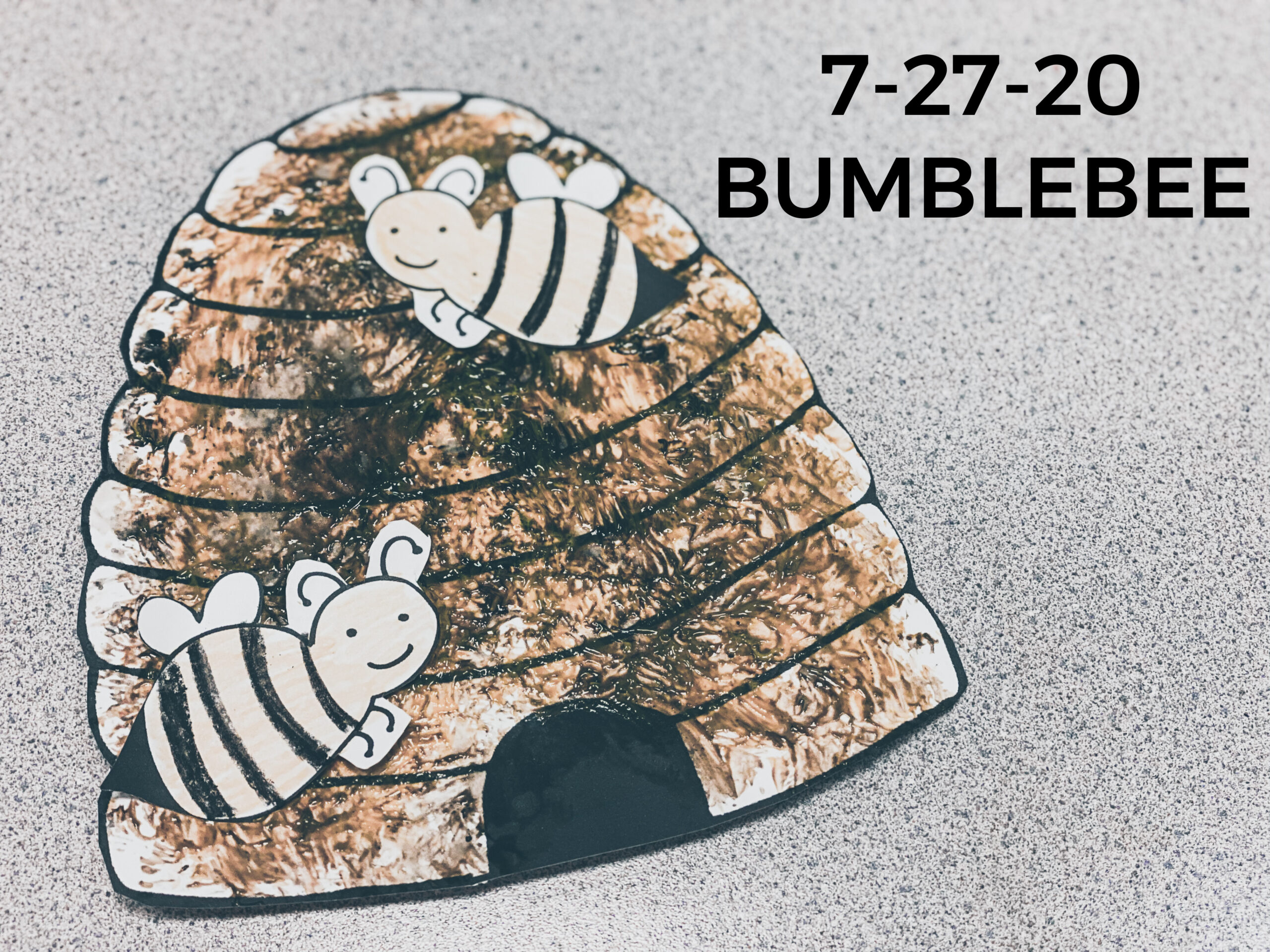 Read more about the article 7-27-20 Bumblebee