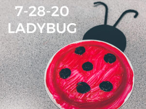 Read more about the article 7-28-20 Ladybug