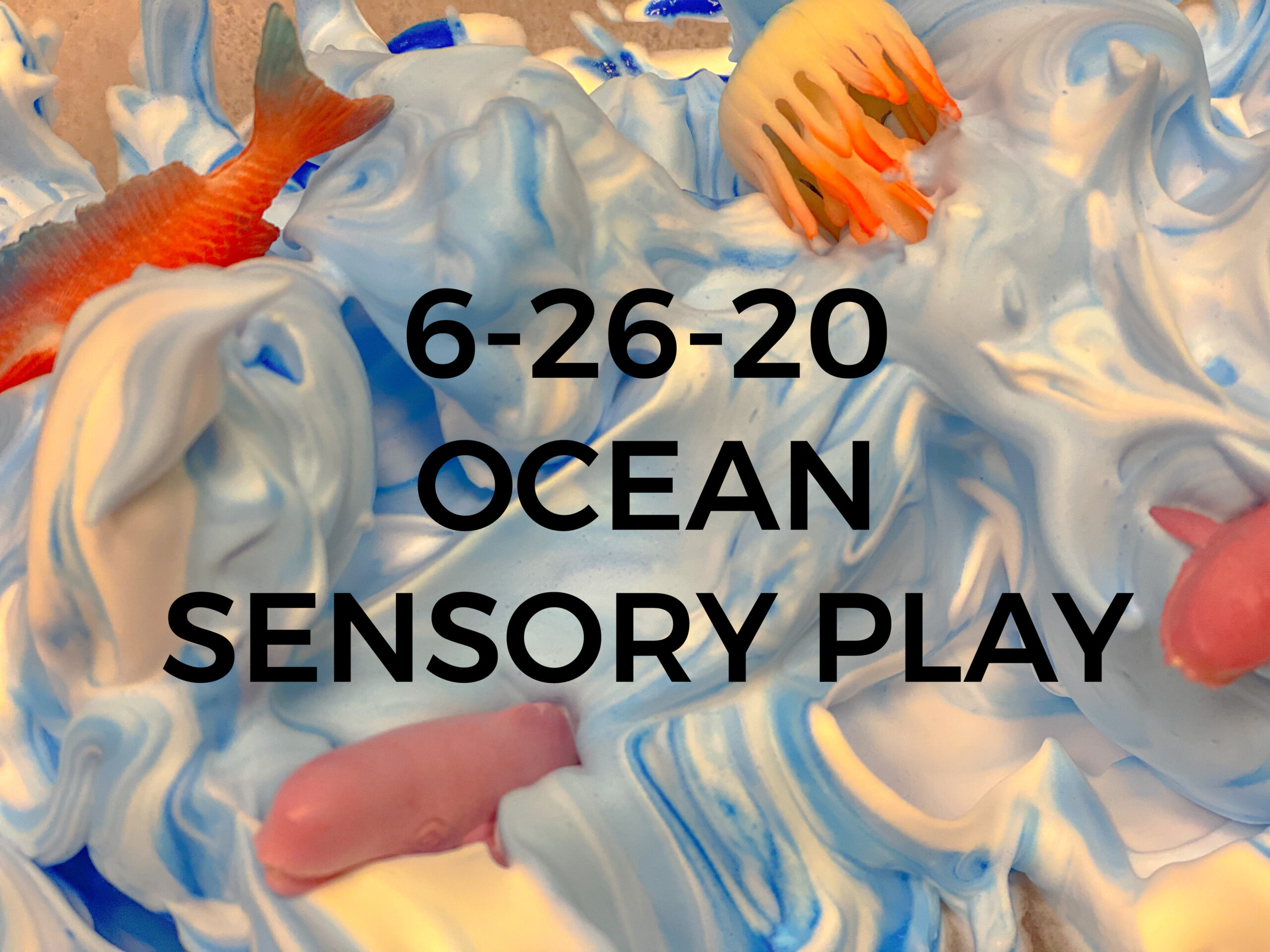 Read more about the article 6-26-20 Ocean Sensory Play