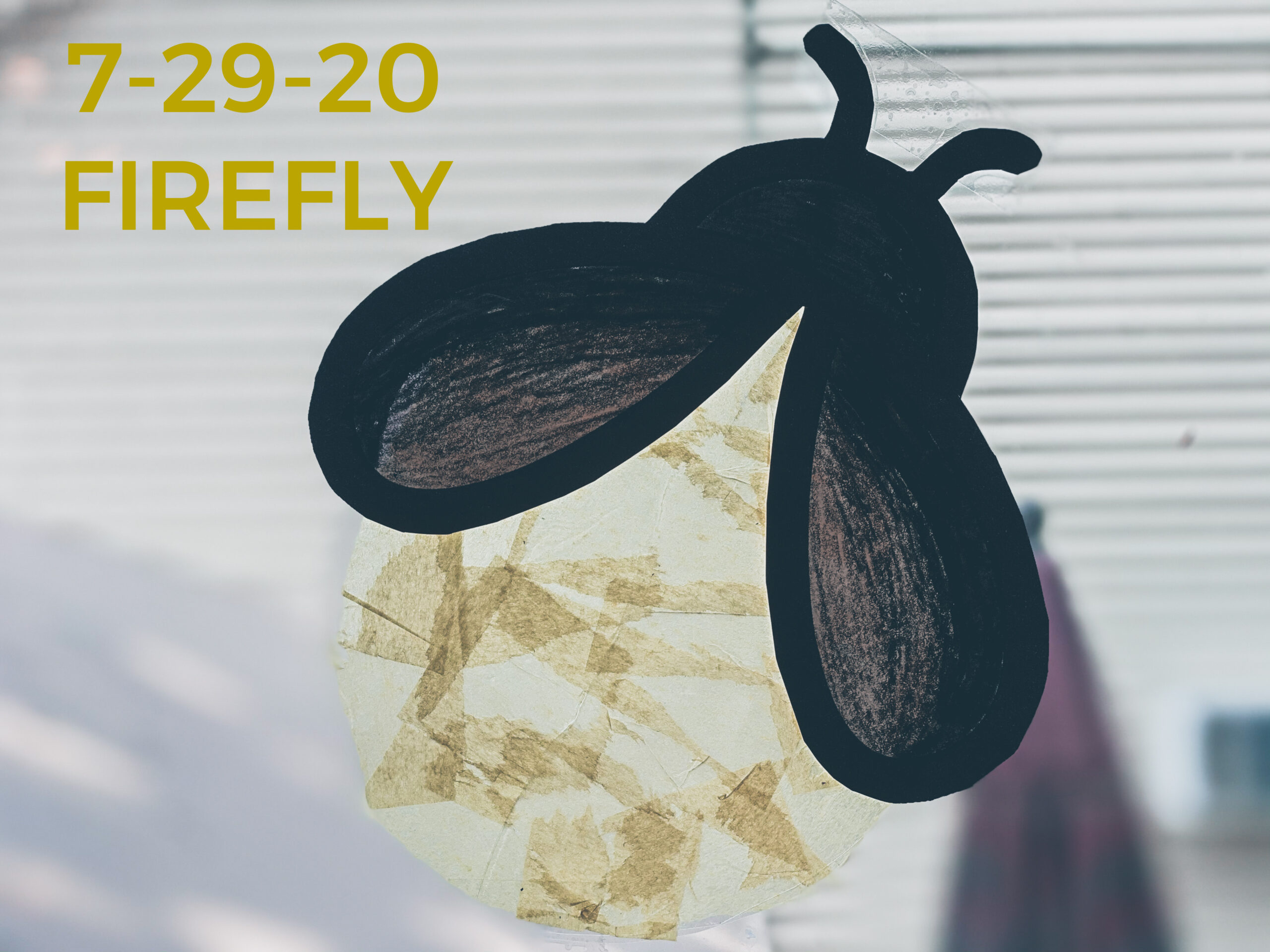 Read more about the article 7-29-20 Firefly